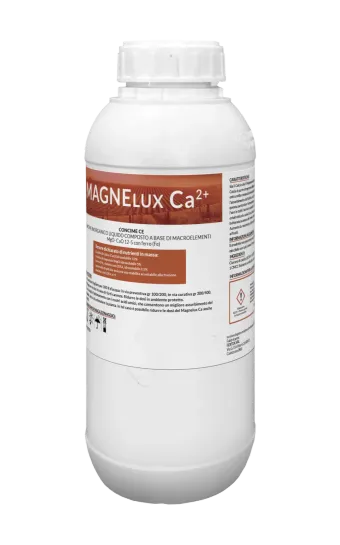 Confezione di MagneLux Ca2+
