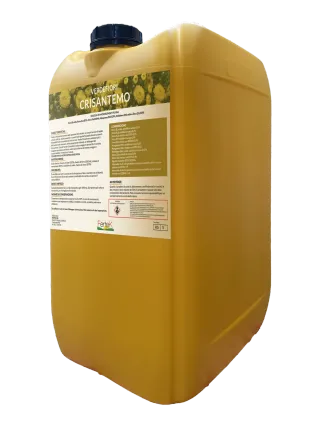 Confezione di Verde Crisantemo