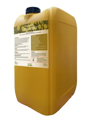Confezione di Verde Crisantemo