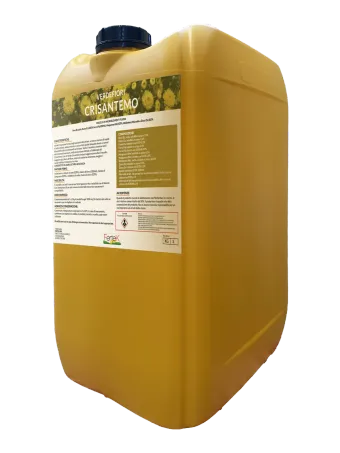 Confezione di Verde Crisantemo