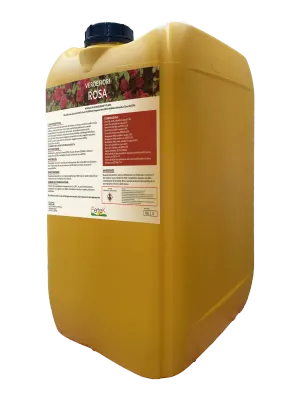 Confezione di Verde Rosa