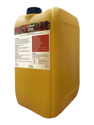 Confezione di Verde Rosa